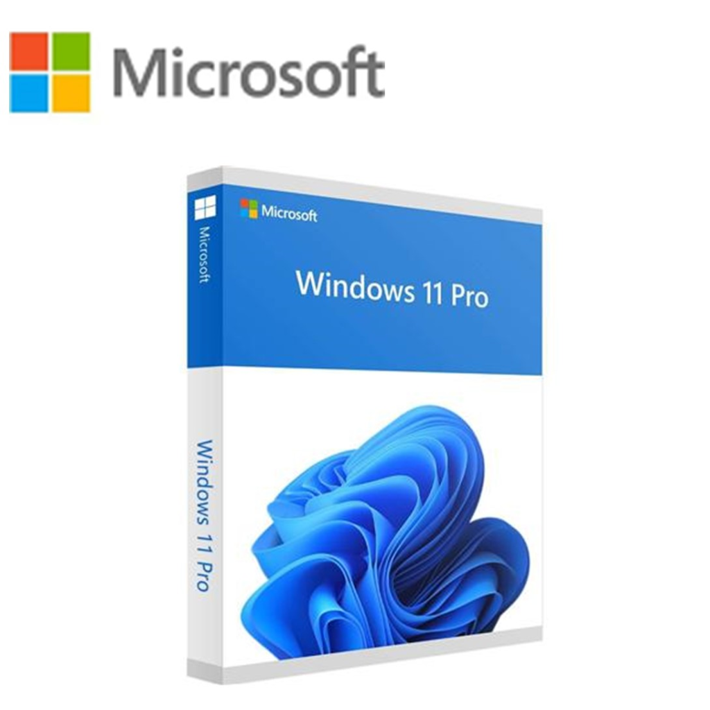 Microsoft Window 11 Pro 64Bit ENG Intl 1pk DSP OEI DVD (OEM)