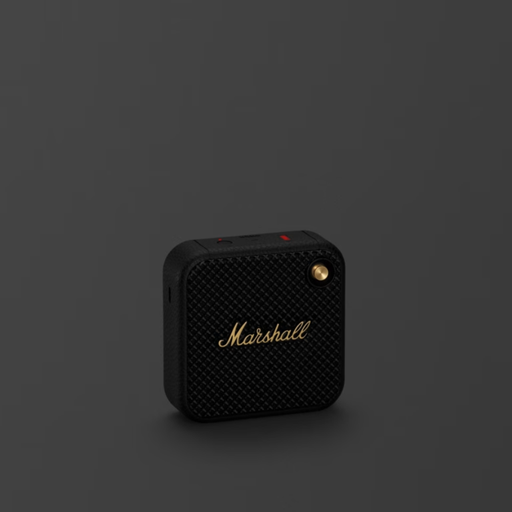 [00300208250389] Marshall Willen